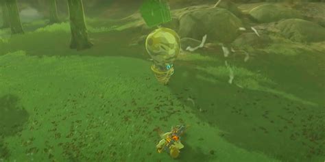 are there fake treasure chests botw